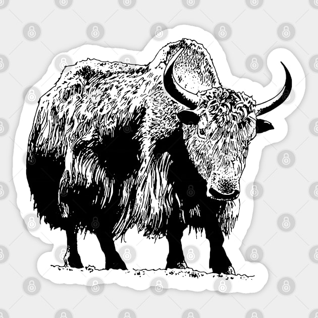 Shaggy Cow Design Sticker by penandinkdesign@hotmail.com